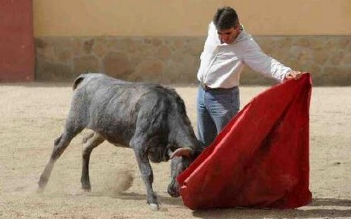 image : Victorino Martin Jr est le premier à tester son bétail - LOÏC DEQUIER