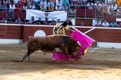 image : Torero face au Toro dans les arènes