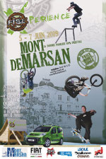 affiche : le fise à Mont de Marsan 2009
