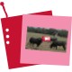 image : icône de la vidéo Toros au campo